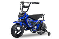 Eco Flee 300W 24V Mini Dirt Bike