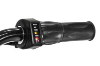 Eco Flee 300W 24V Mini Dirt Bike