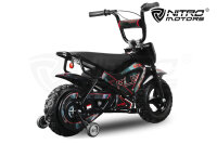Eco Flee 300W 24V Mini Dirt Bike